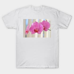 Pink Moth Orchid T-Shirt